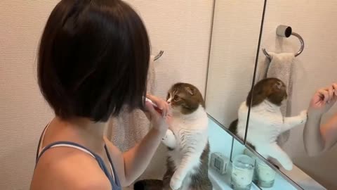 Kitty wonders what I'm doing when I'm doing my makeup