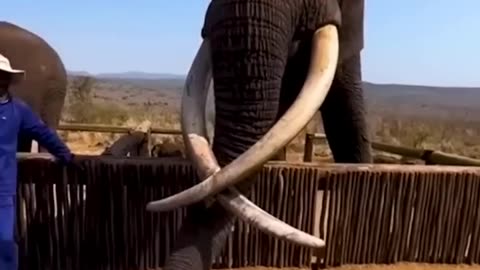 Funny video viral shorts por ami to 🤯🤯🤯