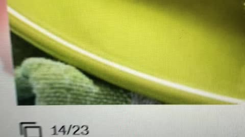 23 Different Sandwich Reviews