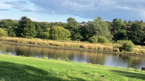 Seagulls River Dee Riverside drive sept 2023