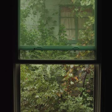 Sitting On The Porch On A Stormy Day Heavy Rain |