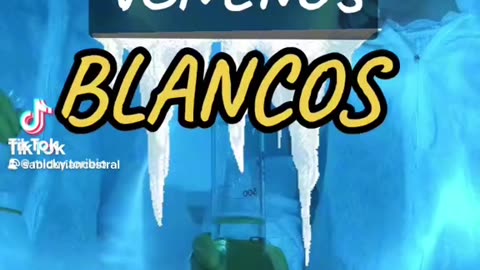 LOS 5 VENEZOLANOS BLANCOS