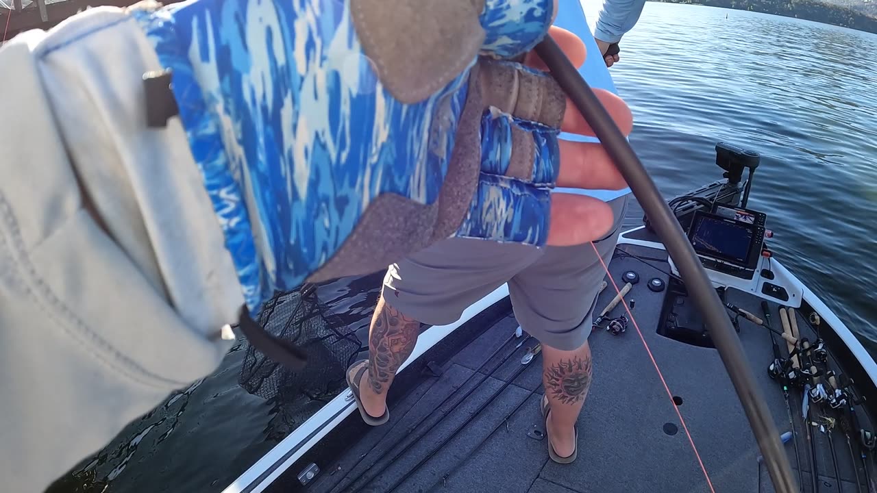 CULL FISH ON BOARD!