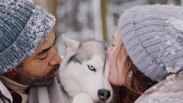 Cute Dog Kissing Couple