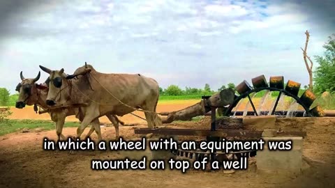 HOW TO BE HAPPY IN LIFE FULL OF DIFFICULTIES | Motivational story on happiness by Words of wisdom |