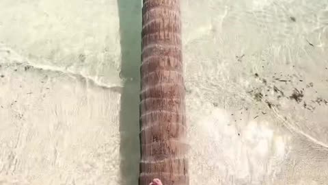 The Maldives