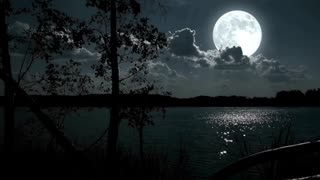 Healing, Relaxing Sounds - Night Lake - 2 Hours