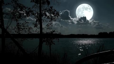 Healing, Relaxing Sounds - Night Lake - 2 Hours