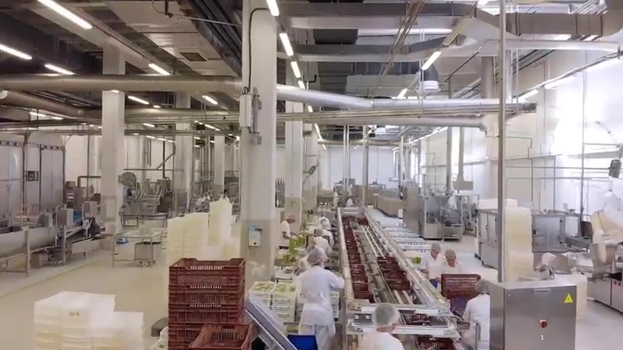 Mackerel Fishing by Modern Technique - Canned Fish Processing Line - Mackerel Processing in Factory