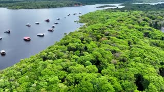 FLYING OVER AMAZON 4K - Relaxing Music Along With Beautiful Nature