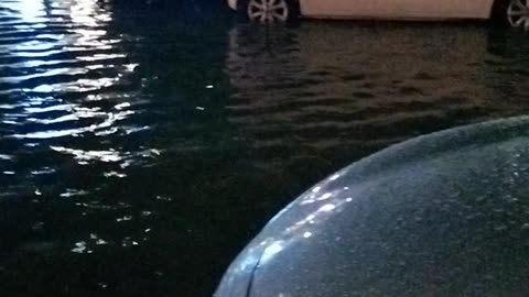 Flood in male city
