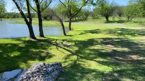 Nature Walk In the Park