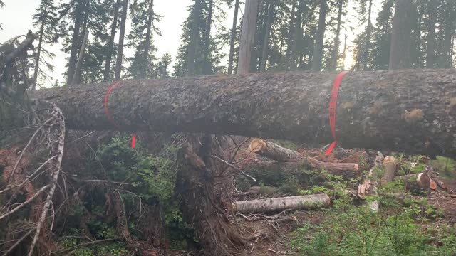 Oregon - Mount Hood - "Obstacle Course" Hiking