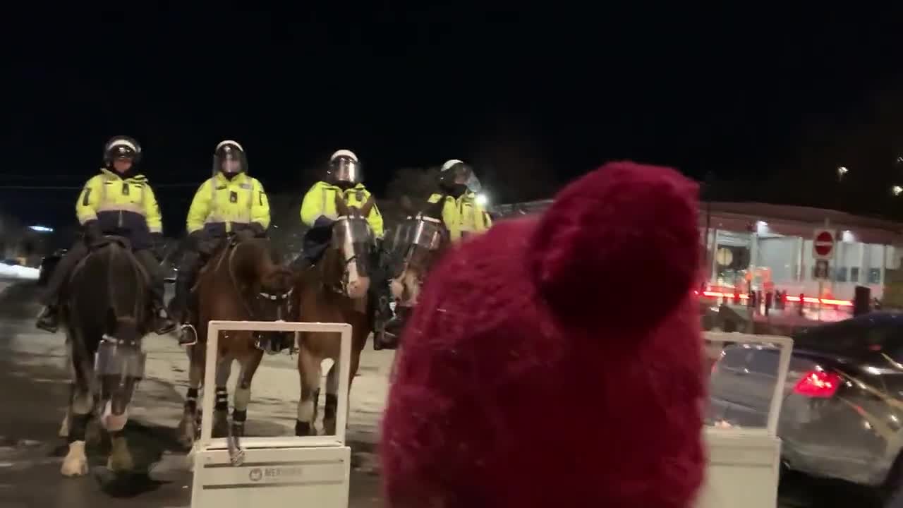 Mounted Police Standing Guard