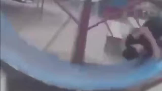 O fato mais assustador sobre o hamster