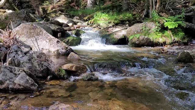 Waterfall in German Forest