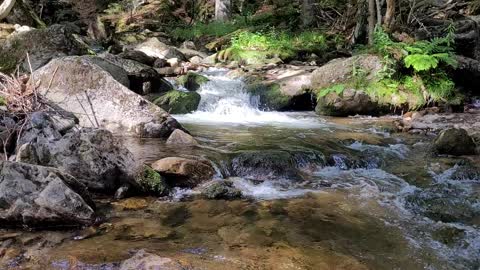 Waterfall in German Forest