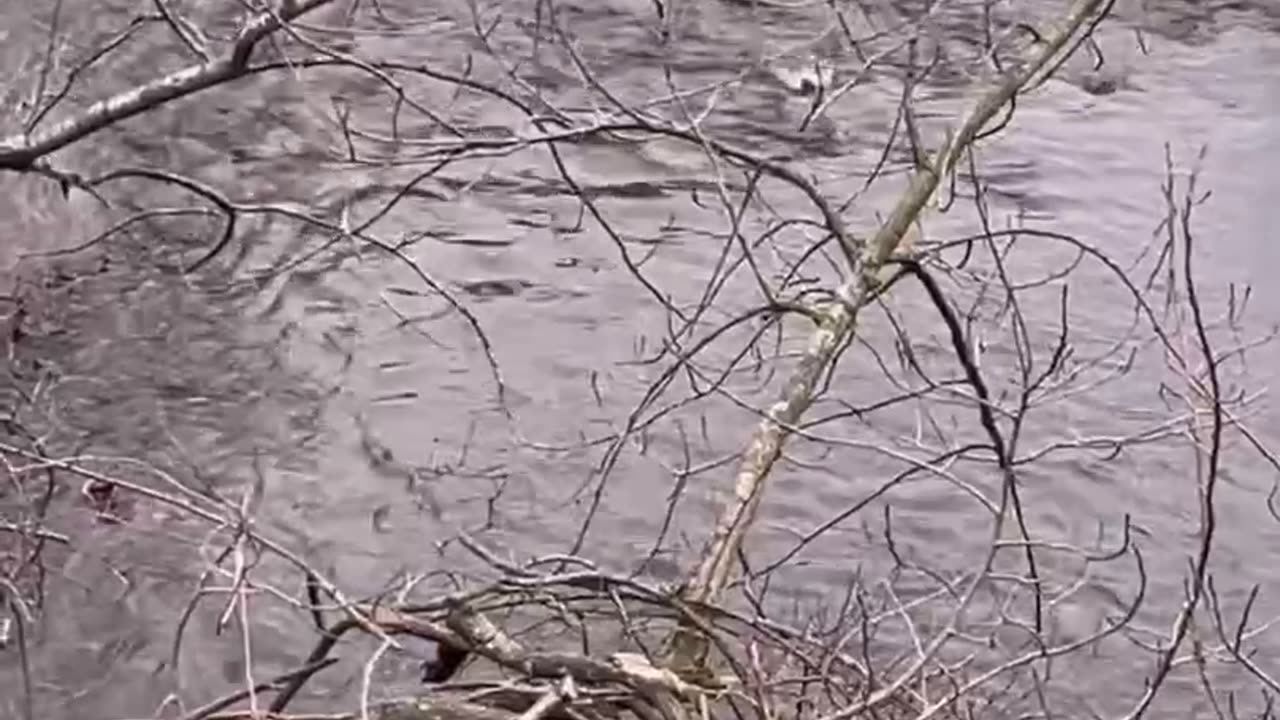 #GratitudeWalk Connect with God and nature.