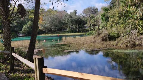 @ Rainbow Springs State Park