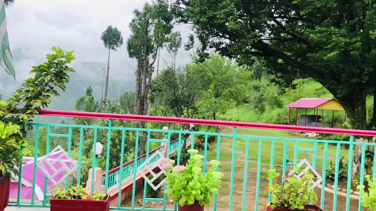 # nature# growing on rumble