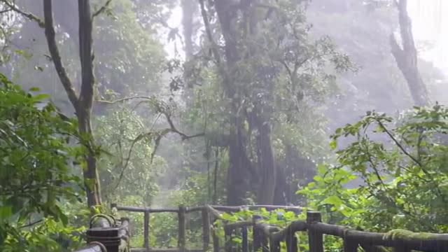 Thenatureshub