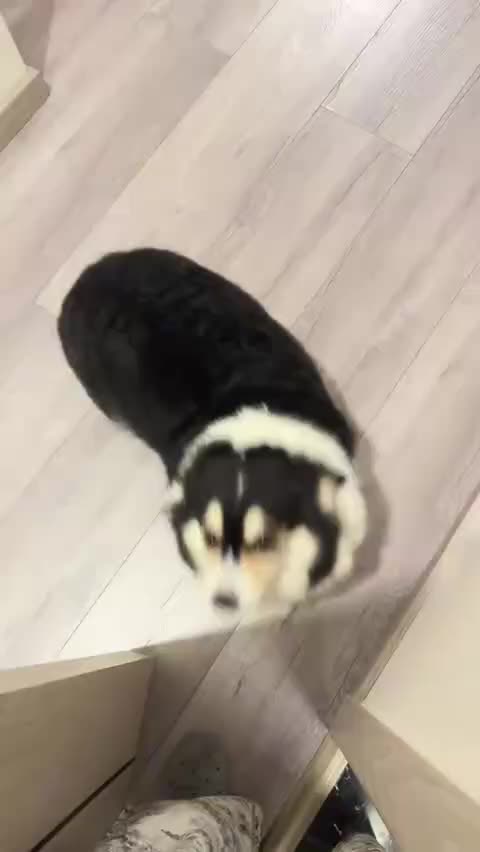 When you are missed 😊