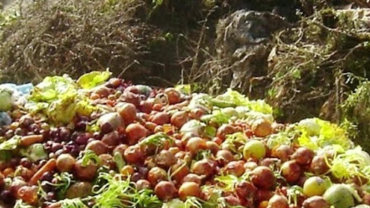 top 10 countries with the most food waste in the world