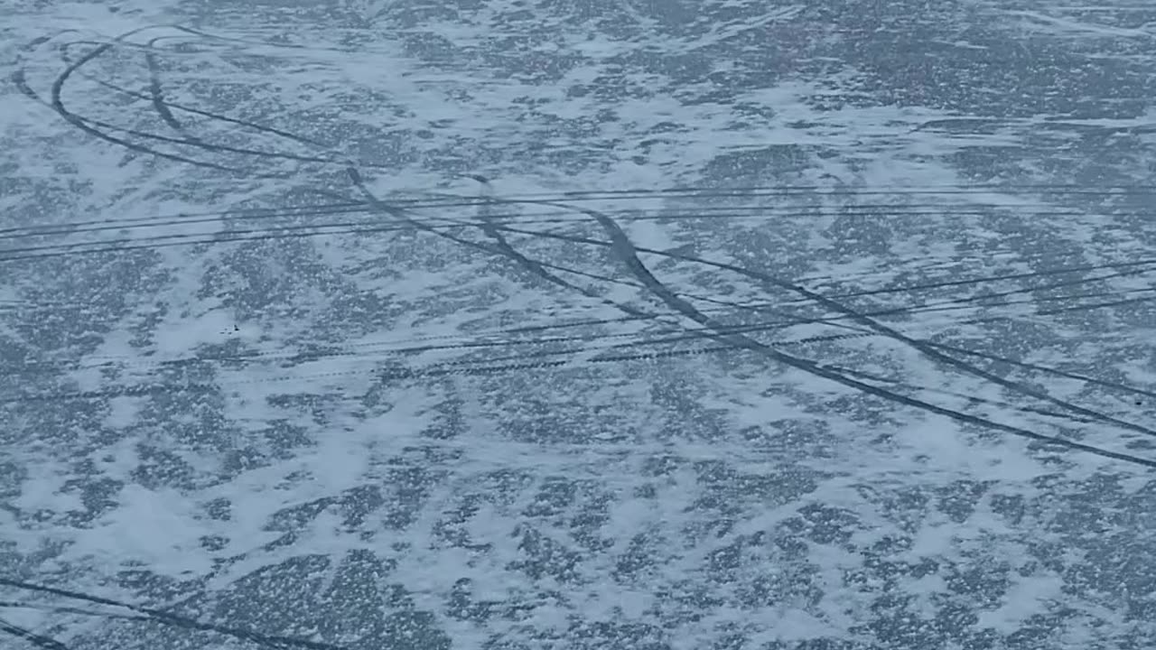 How to get ducks off the ice