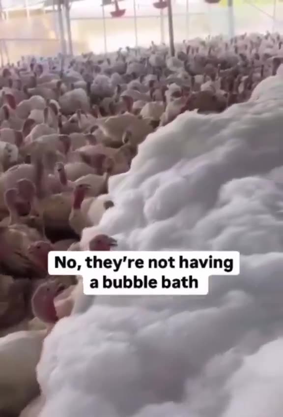 ❌ ⚠️ BIO-FASCISMO