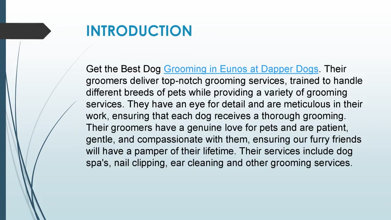 Get the Best Dog Grooming in Eunos