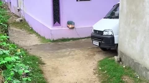 Funny 😂 video