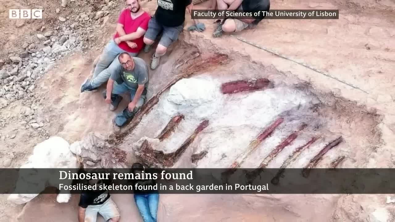 Huge dinosaur skeleton unearthed in Portuguese garden