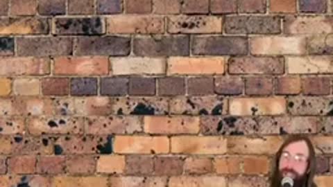 Every Liberal News Show 😂