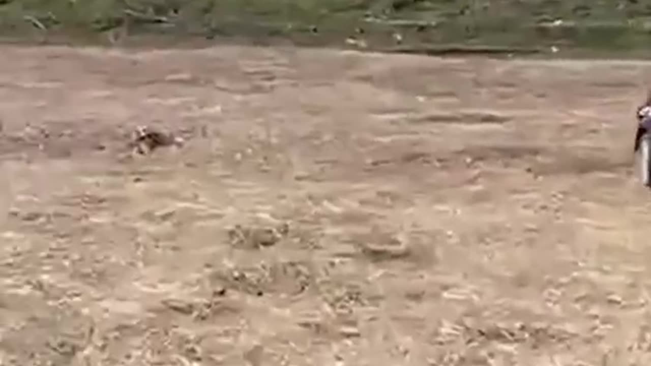 funny kids