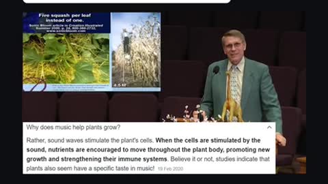 CO2 and plants