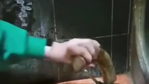Vòi rửa tay