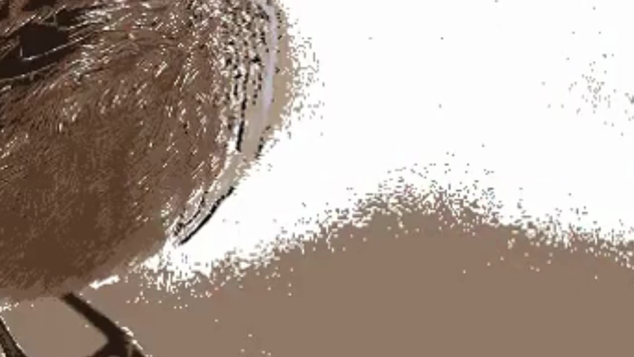Fun and Easy Bird Drawing for Kids