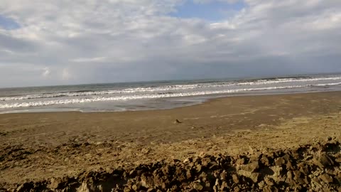 VID 20160220 090805290
