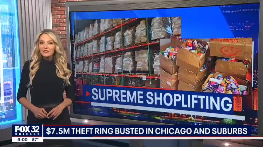 $7.5 million theft ring busted in Chicago and suburbs