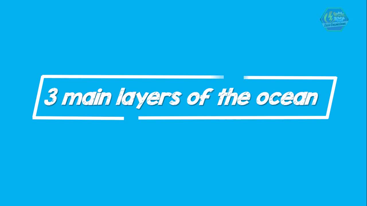 MARINE ECOSYSTEM | Biology Animation