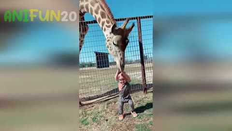 best funny animal videos 2023 anifun