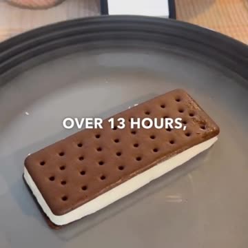 You Think You Are Buying Ice Cream, But You're Not! This Ice Cream Never Melts!