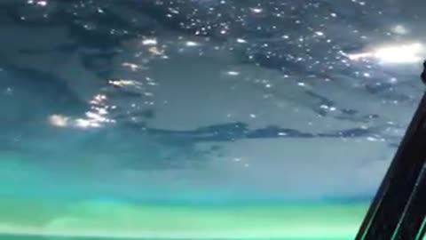 Northern Lights seen