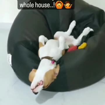 he works 24 hours😂😂