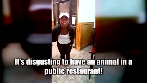 Veteran Responds After Customer Screams About His Service Dog in Restaurant