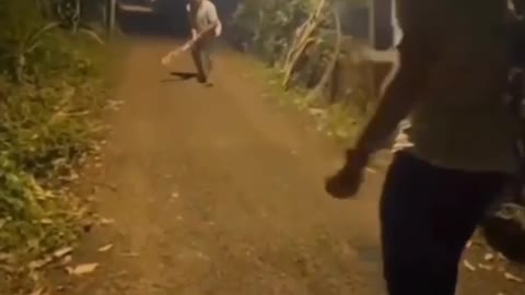 Next level cricket