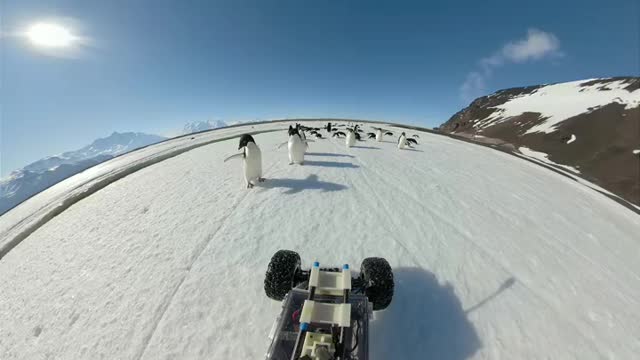 Penguin Rover 360 Video with Gopro Fusion