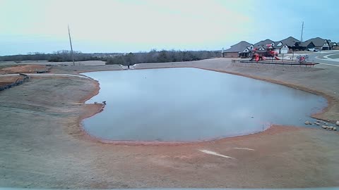 The Pond