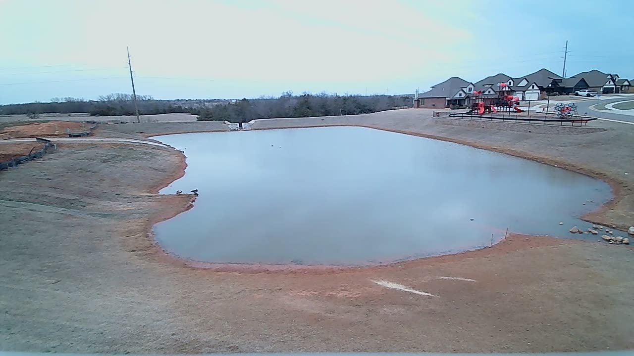The Pond