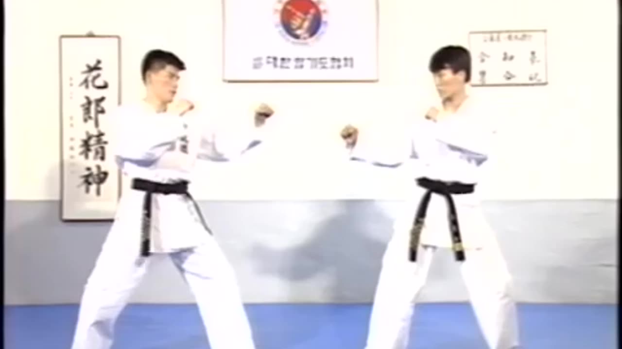 Hapkido